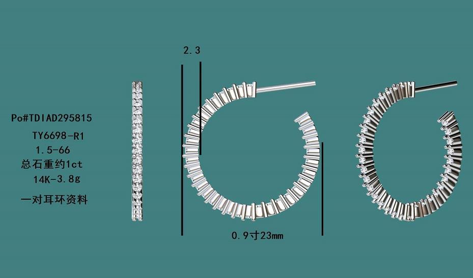 17541E Earrings With Diamond