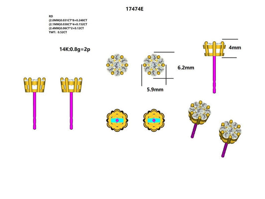 17474E Earrings With Diamond